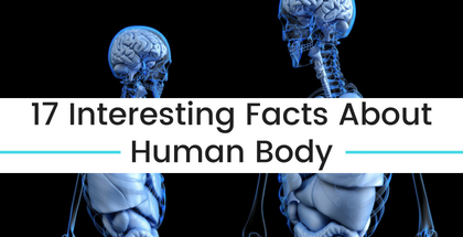 17 Interesting Facts About Human Body