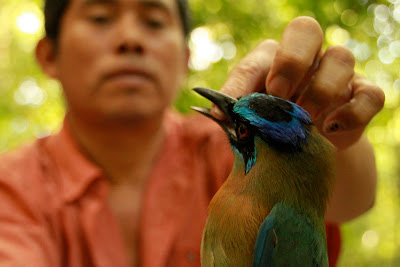 Laguna de Apoyo Spanish School and Volunteer Program