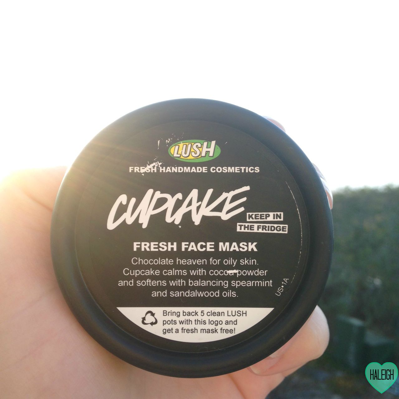 Lush! Cupcake Fresh Face Mask Review Haleigh Reece