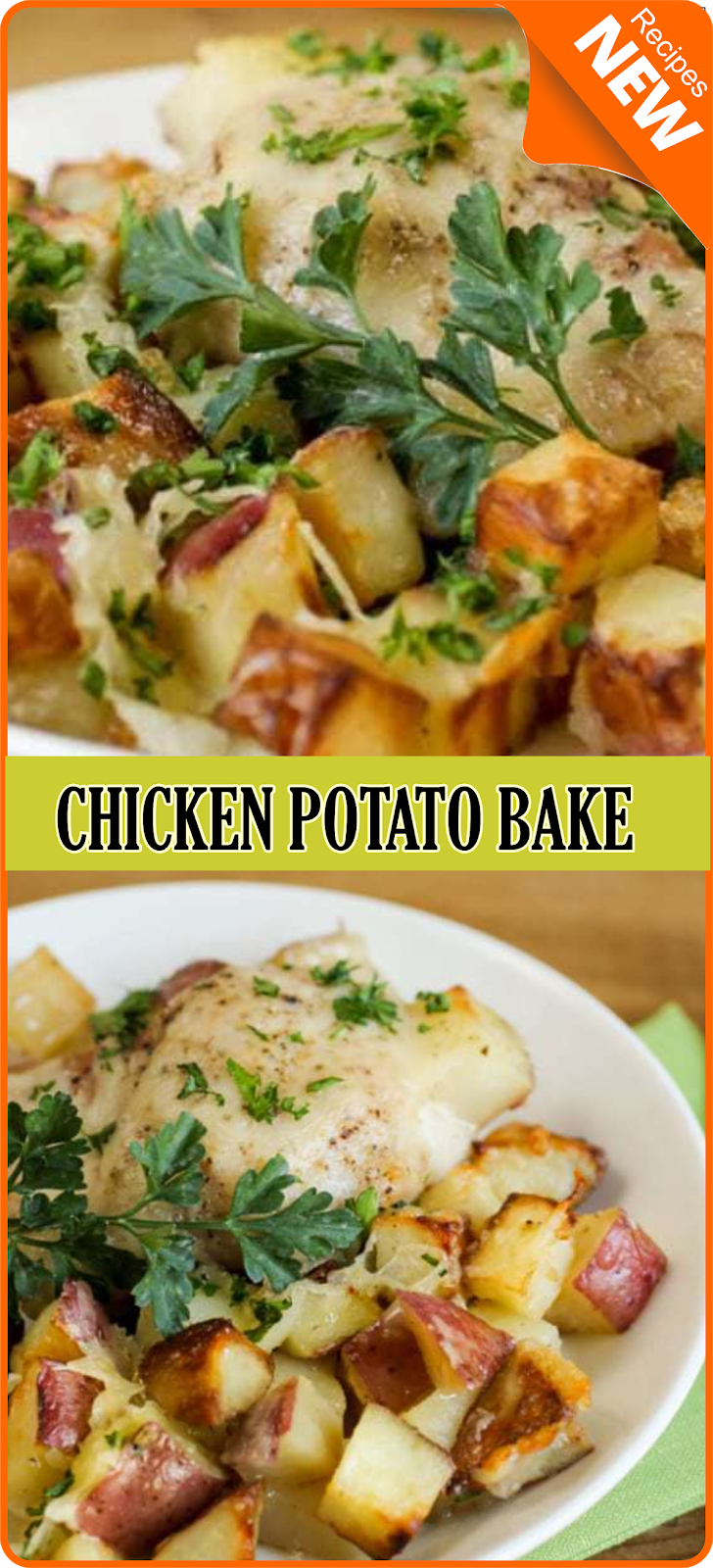 CHICKEN POTATO BAKE Show You Recipes