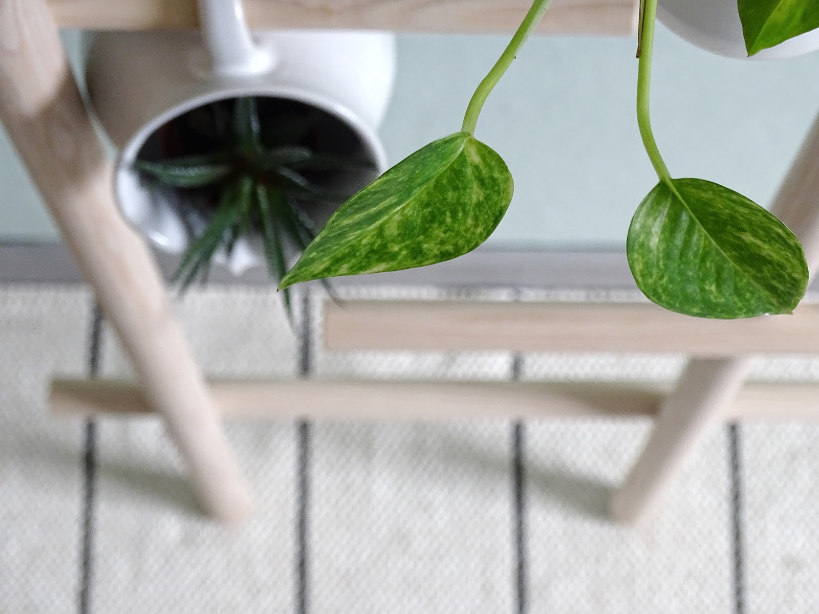 4 alternative Ideen zum Aufhängen deiner Pflanzen mit Haushaltsgegenständen - http://mammilade.blogspot.de 4 alternative Ideen zum Aufhängen deiner Pflanzen mit Haushaltsgegenständen - http://mammilade.blogspot.de
