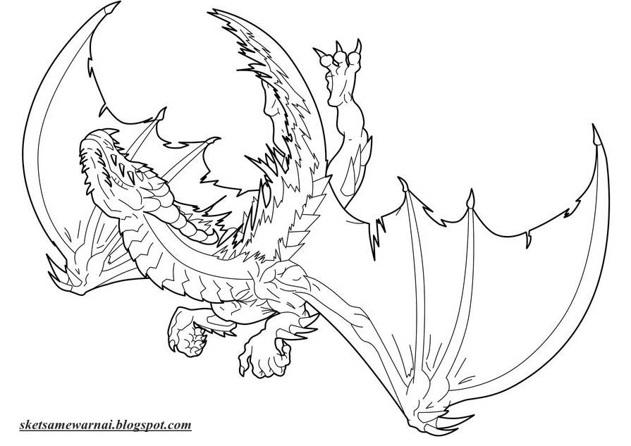 Gambar Mewarnai Binatang Naga Related Keywords Suggestions