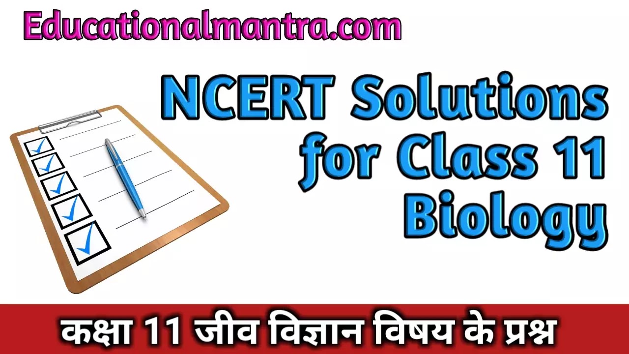 NCERT Solutions for Class 11Biology