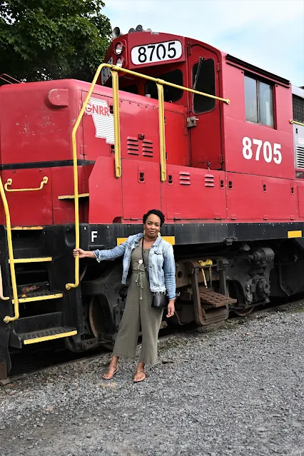 Take a Train Ride through the Foothills of Northern Georgia: Blue Ridge Scenic Railway
