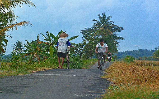 Hamparan Sawah Di Yogyakarta Rute Asyik Untuk Bersepeda Nasirullah Sitam