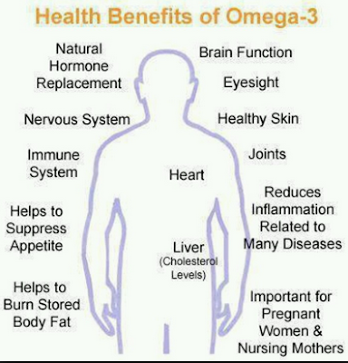Maksud Omega 3, apa itu omega 3, manfaat omega 3, OMEGA GUARD SHAKLEE, omega guard, manfaat omega guard shaklee, manfaat omega 3 Maksud Omega 3, apa itu omega 3, manfaat omega 3, OMEGA GUARD SHAKLEE, omega guard, manfaat omega guard shaklee, manfaat omega 3