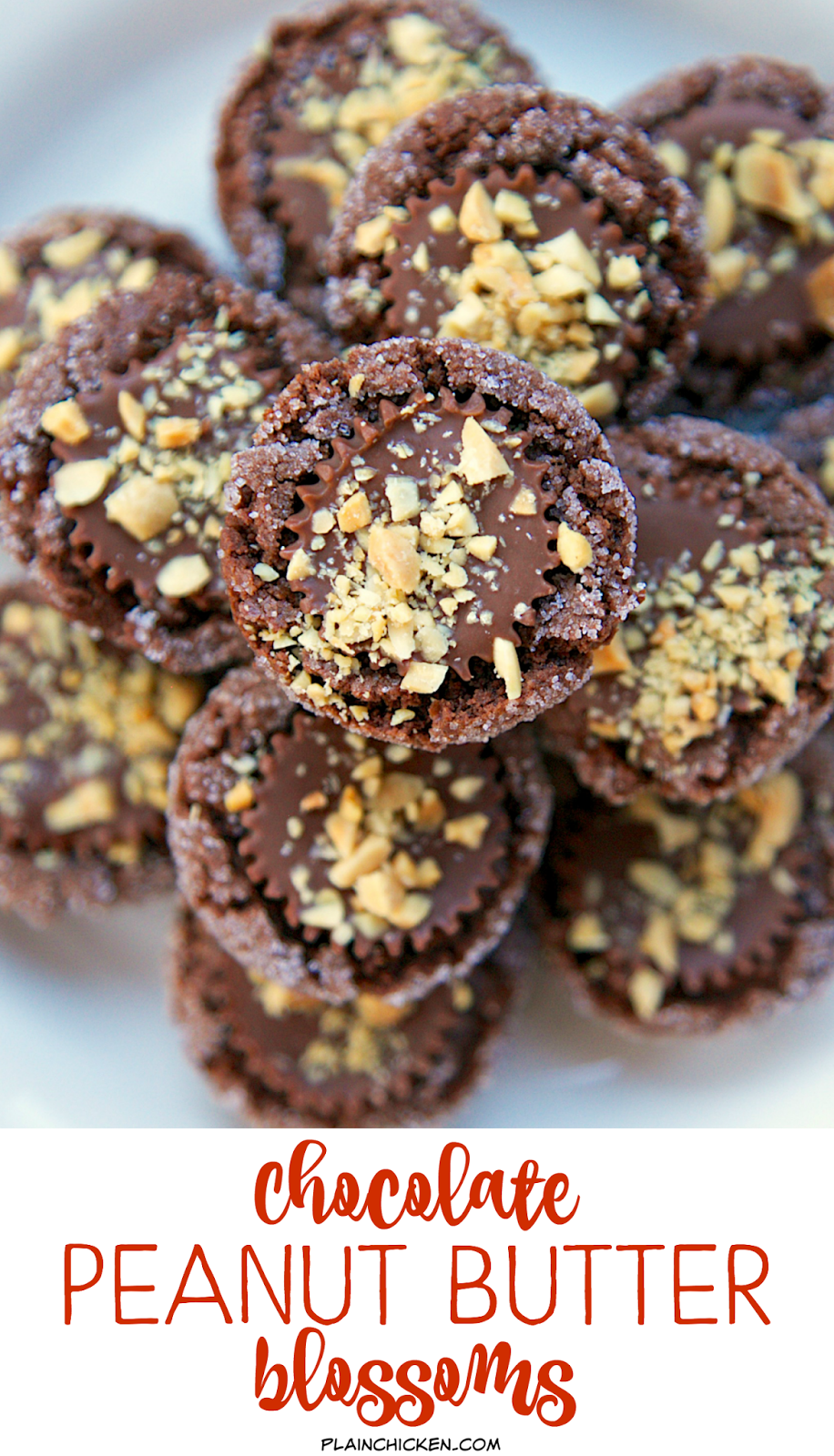 Chocolate Peanut Butter Blossoms Plain Chicken®