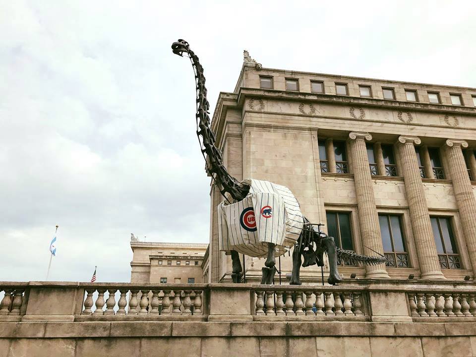 The Geology P.A.G.E. Dinos in Pop Culture Brachiosauruses Everywhere