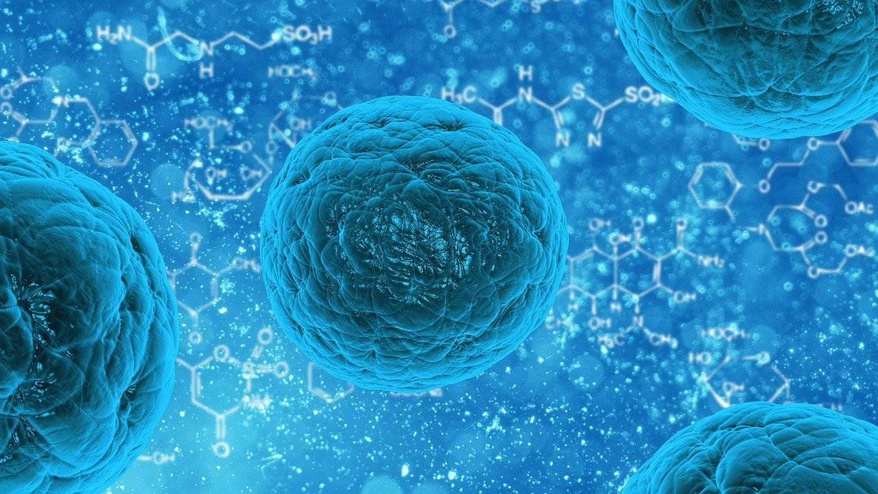 Manfaat Biologi di Bidang Kesehatan