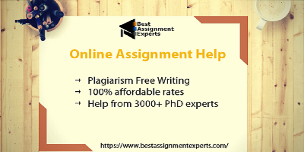 Online assignment expert picture