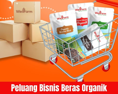 peluang usaha distributor beras organik