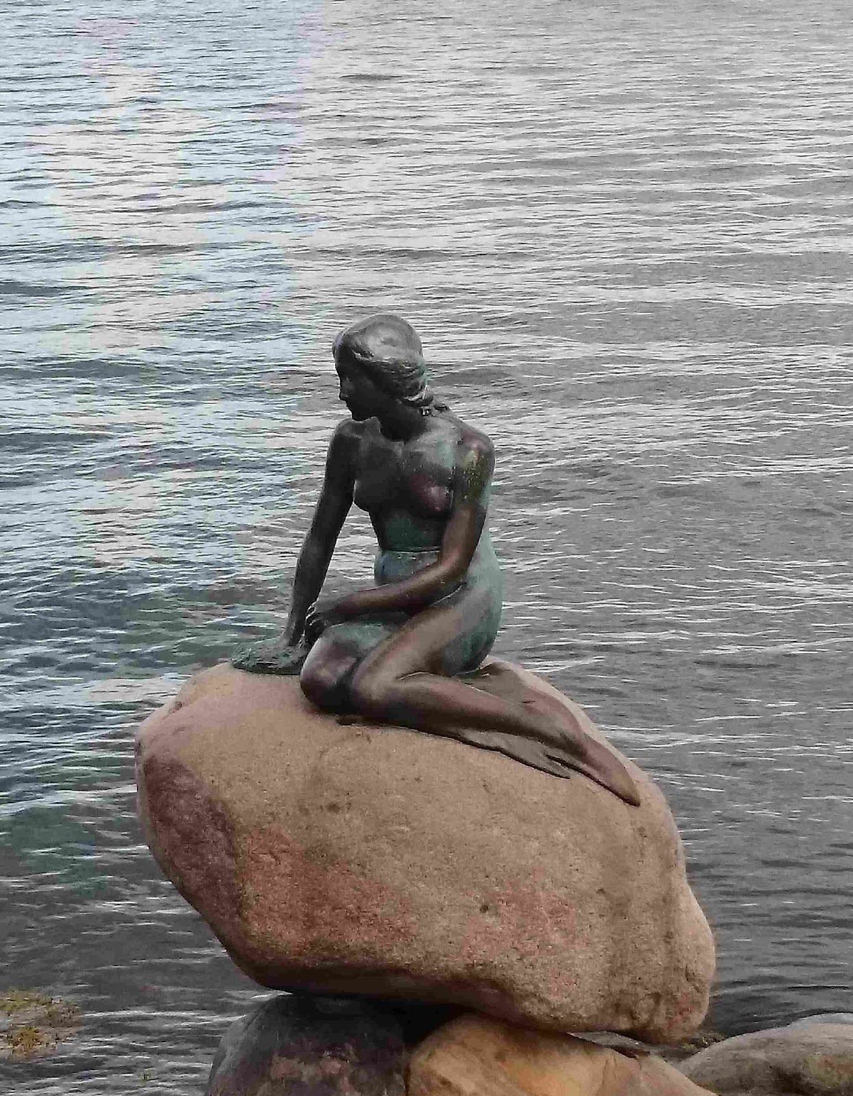 Rickardssons rosor & rabarber: danmark: natur, trädgård och lite ...