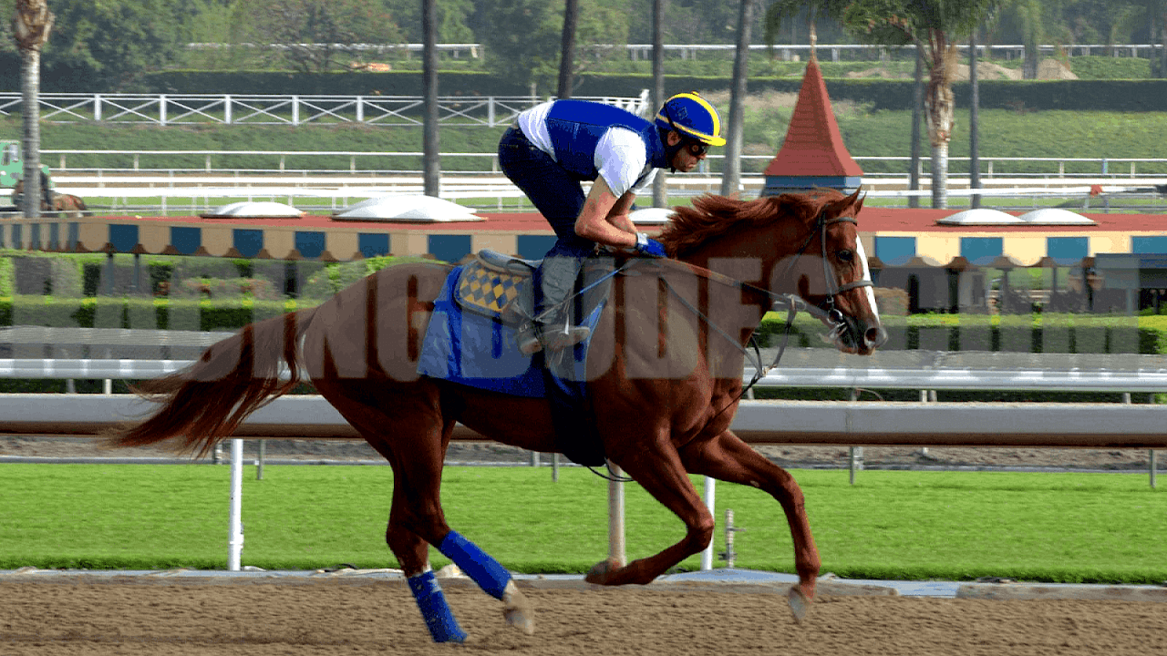 Golden Gate Horse Racing Picks - Horse Choices