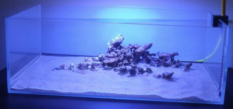  Aquascape  Eye Candy 11 Examples for Inspiration Marine 
