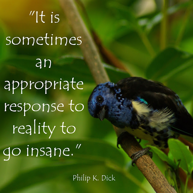 It is sometimes an appropriate response to reality to go insane. - Philip K. Dick