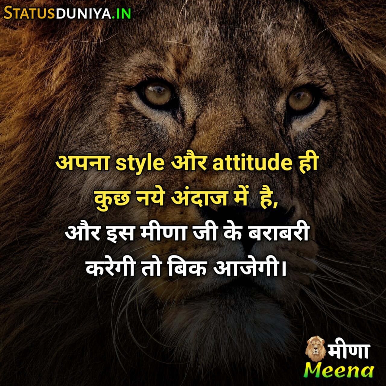 287+} Meena Attitude Shayari Status In Hindi 2023 - Status Duniya