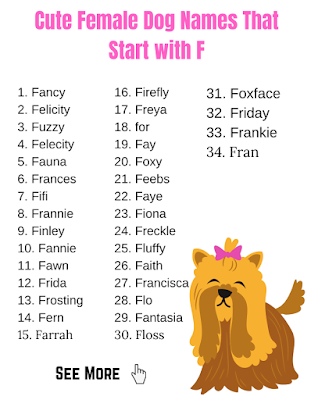 Cute Female Dog Names That Start with F