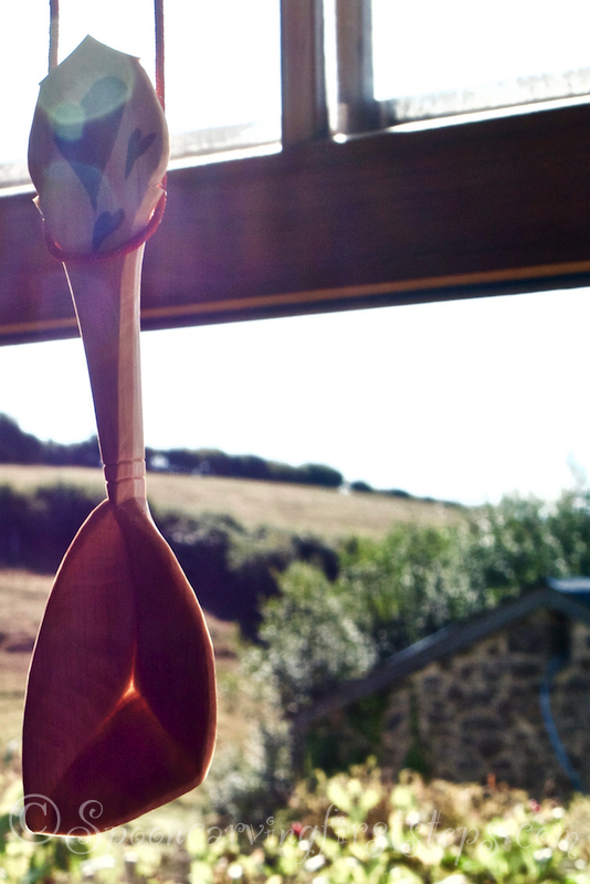 Jon Mac.Spoon Carving First Steps A hook knife free zone.