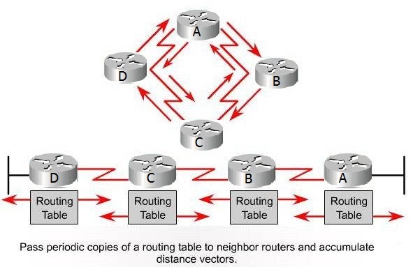 Distance Vector Routing Protocols Operation ~ Expert IT Gurus