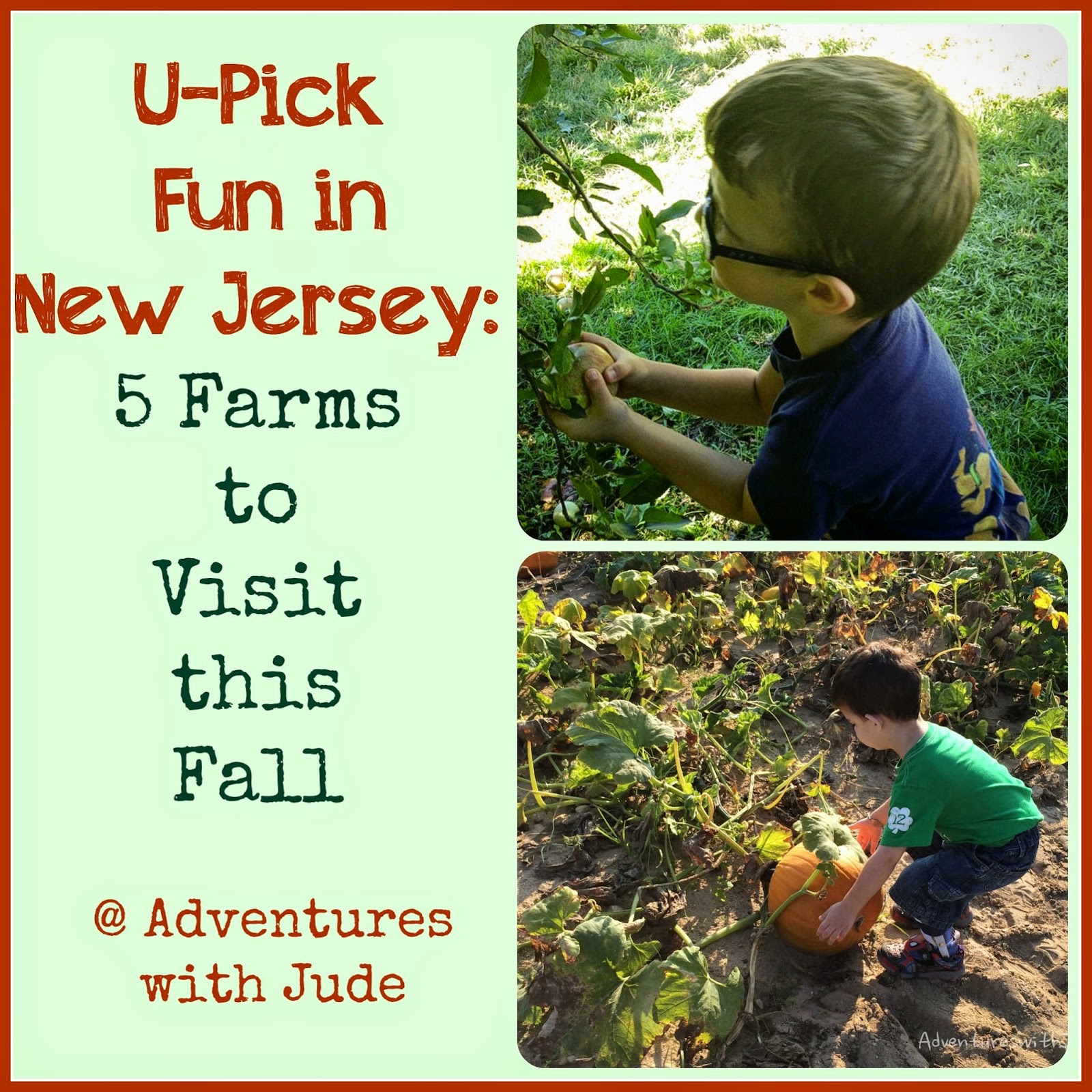 Pick Your Own Farms in south NJ