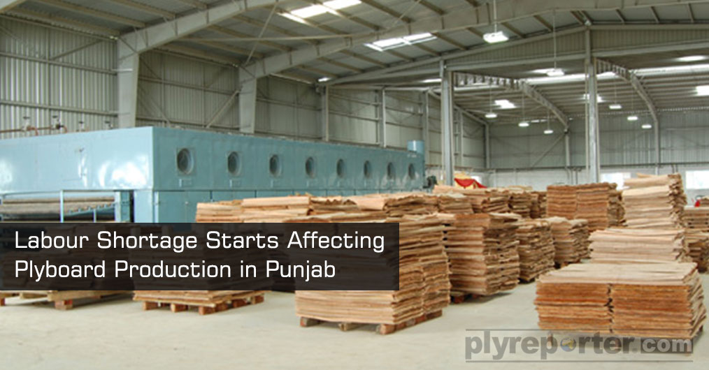 Ply News Reporter Magazine for Laminate, Plywood, Veneers, Indian