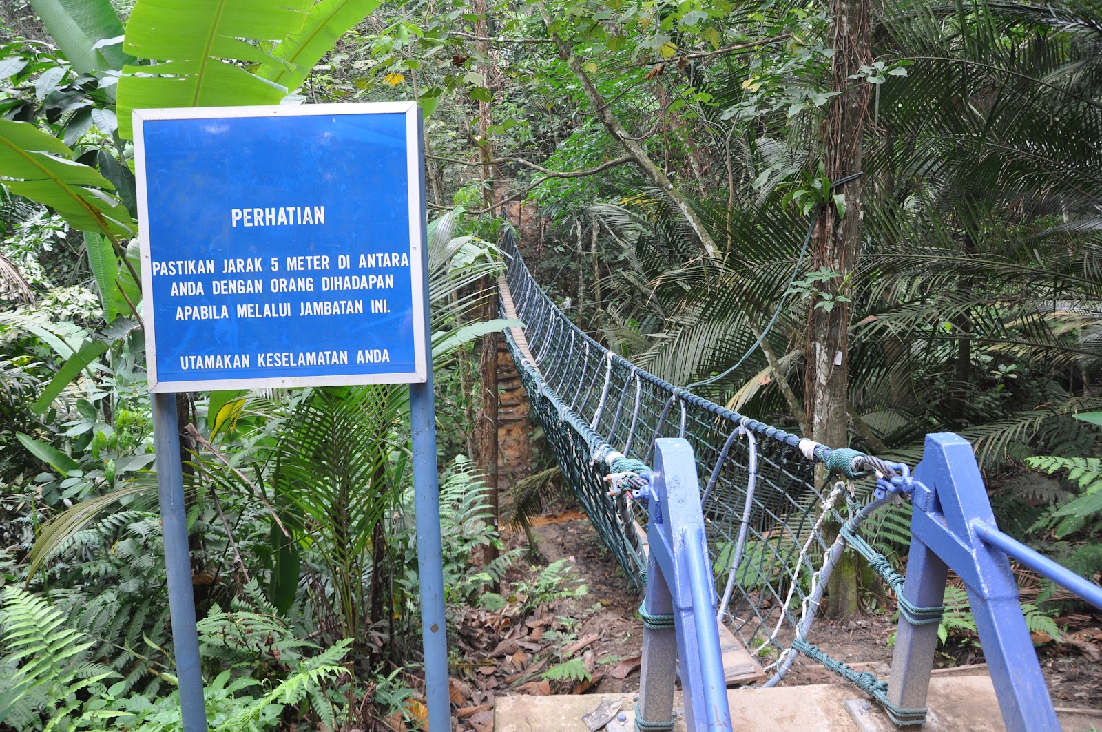 Sungai Siput Boy Hiking Taman Pendidikan Bukit Gasing Bukit Gasing