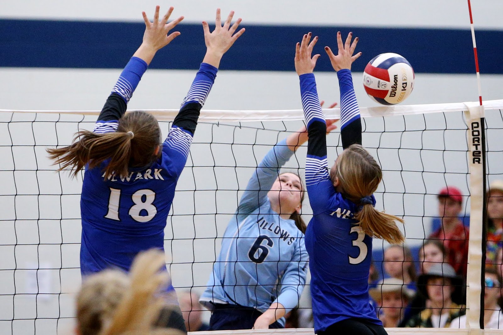 Mark Kodiak Ukena IHSA Girls Volleyball Class 1A Sectional Finals