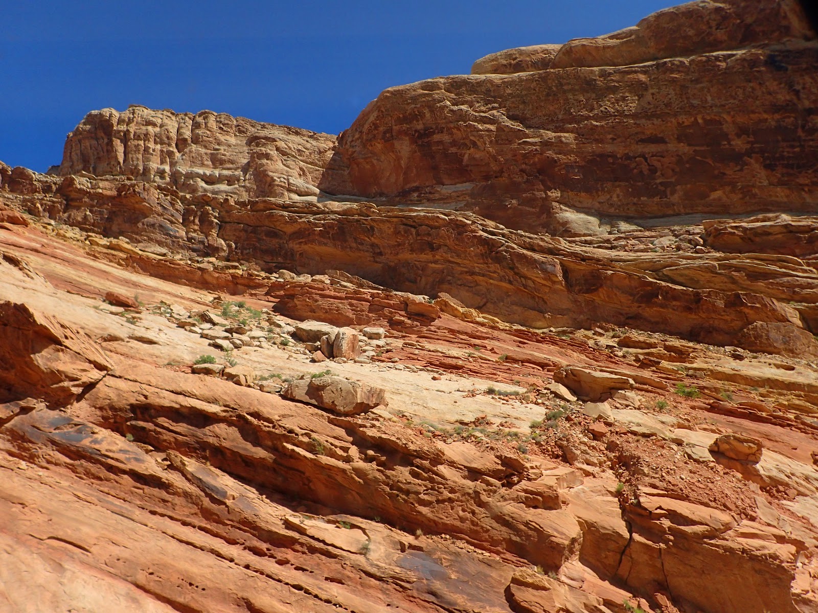 PAMPERED PENGUIN September 1213, 2019 Delta, Utah to Great Basin