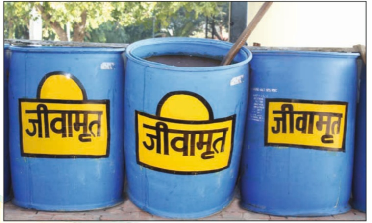 જીવામૃત બનાવવાની સૌથી સરળ રીત