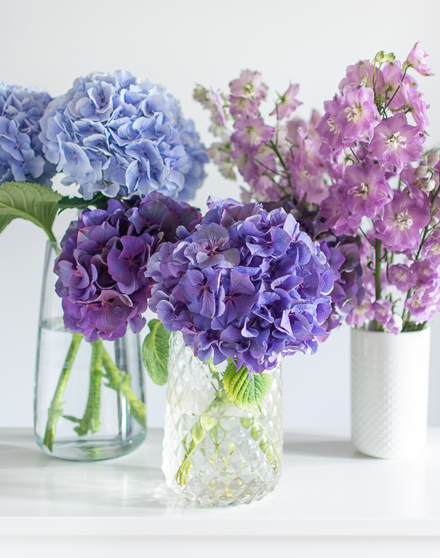 How To Keep Cut Hydrangea From Wilting Eat Play Dress