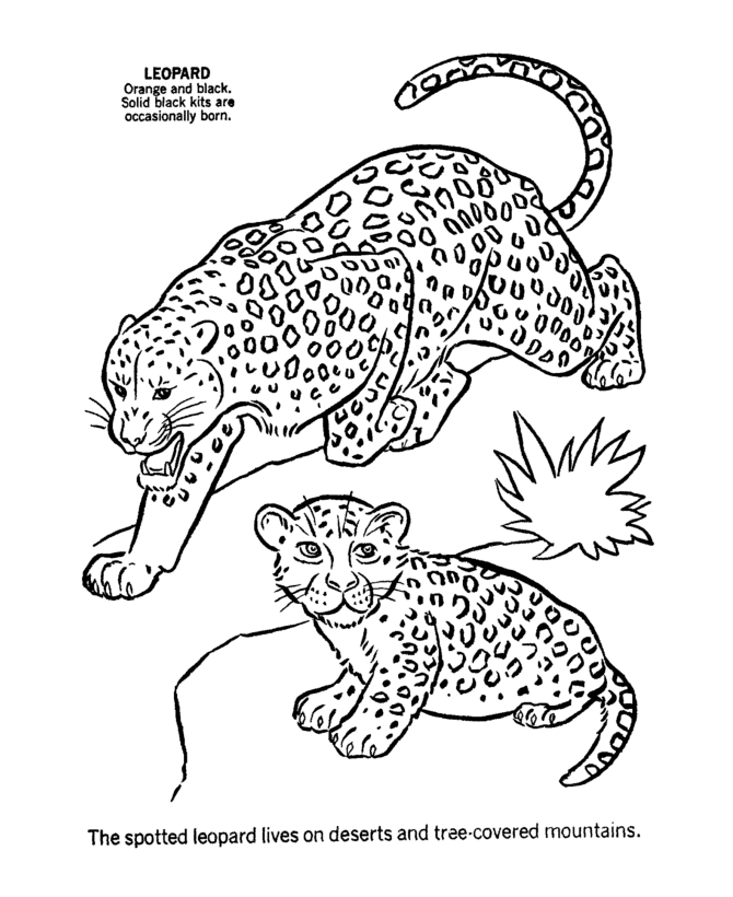 baby animals and their mothers coloring pages - photo #17