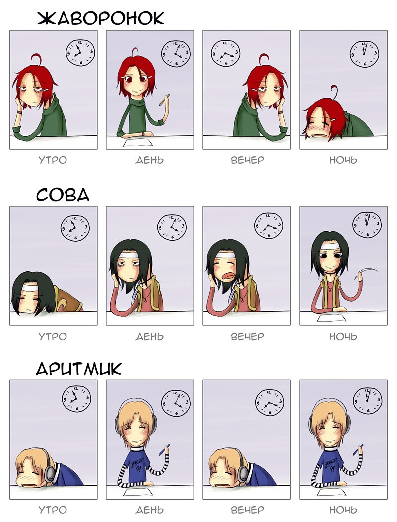 тест ты жаворонок или сова.