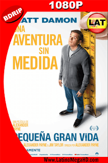 Pequeña Gran Vida (2017) Latino HD BDRIP 1080p - 2017