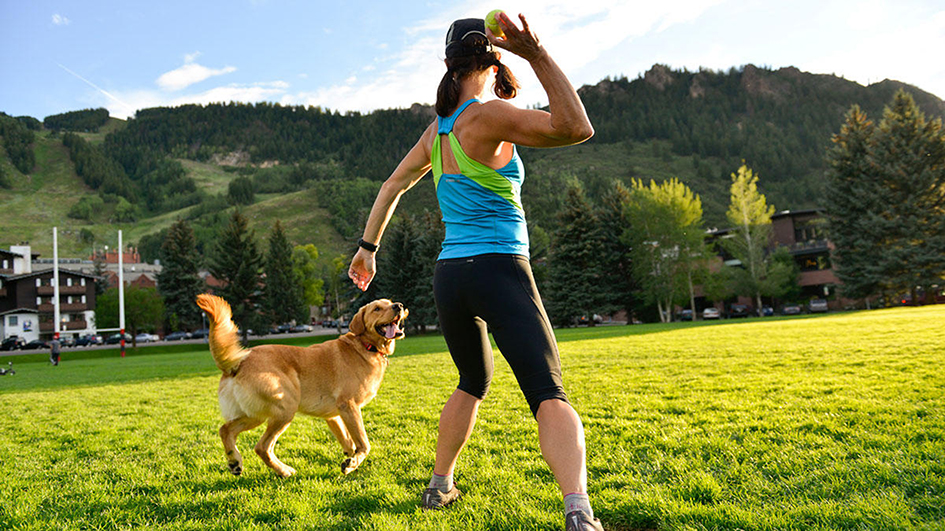 How to exercise with your dog Pets, Home & Garden