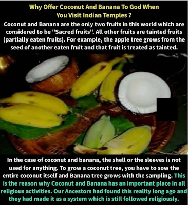 Why offer Coconut and banana to god