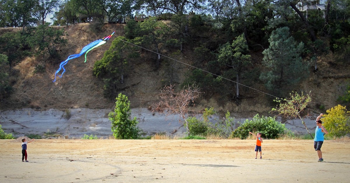 The Little Bruns Kites rise highest