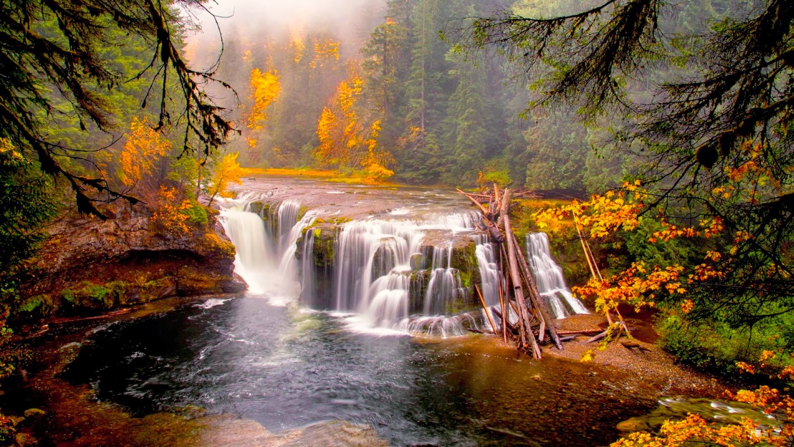 walpapers of nature Best Wallpapers for you