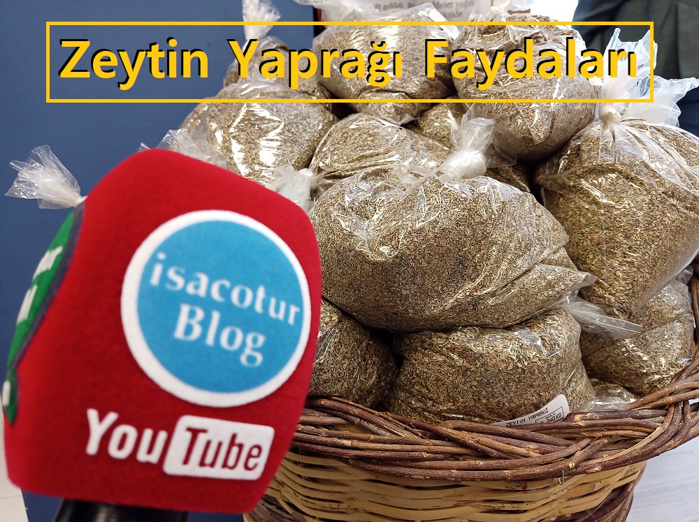 Başkent Market Kızılay Zeytin yaprağının faydaları