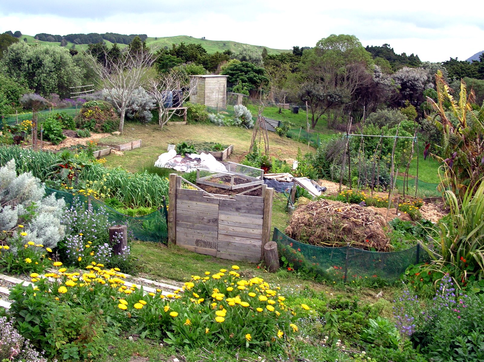 a permaculture-designed garden
