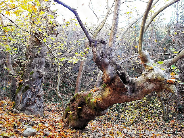 Trilha próxima ao monastério St Nicholaus - Meteora, Grécia