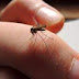  Πώς να προστατευτείς από τα κουνούπια το καλοκαίρι