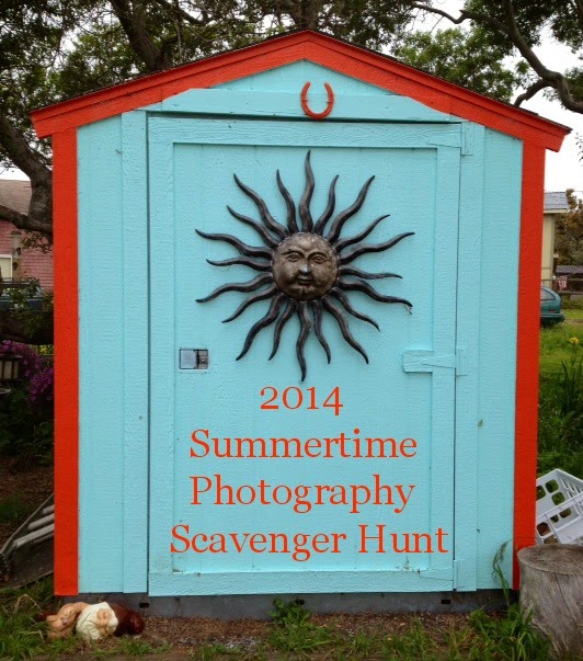 2014 Summertime Photography Scavenger Hunt