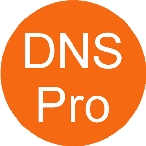 Set DNS Pro