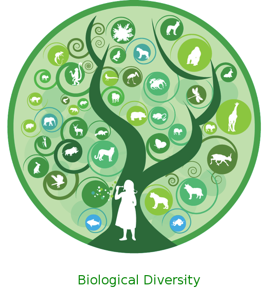 Importance of Preservation of Bio Diversity for Ecosystem ~ Latest ...