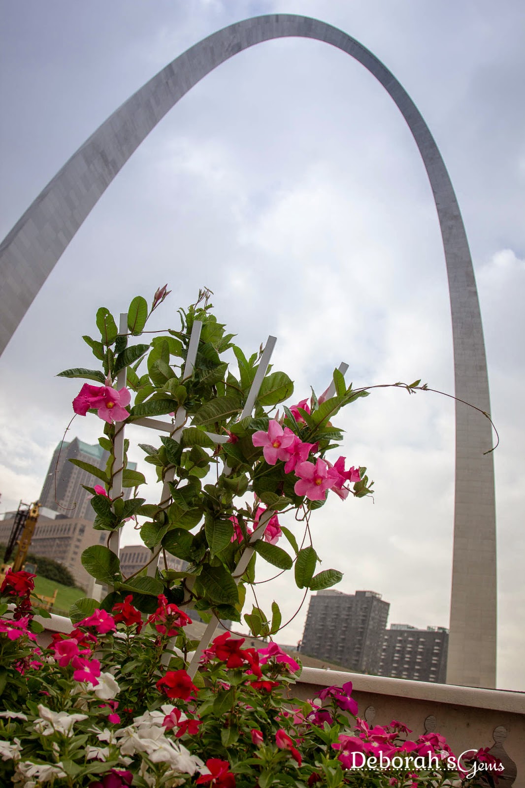 St Louis 2 - photo by Deborah Frings - Deborah's Gems