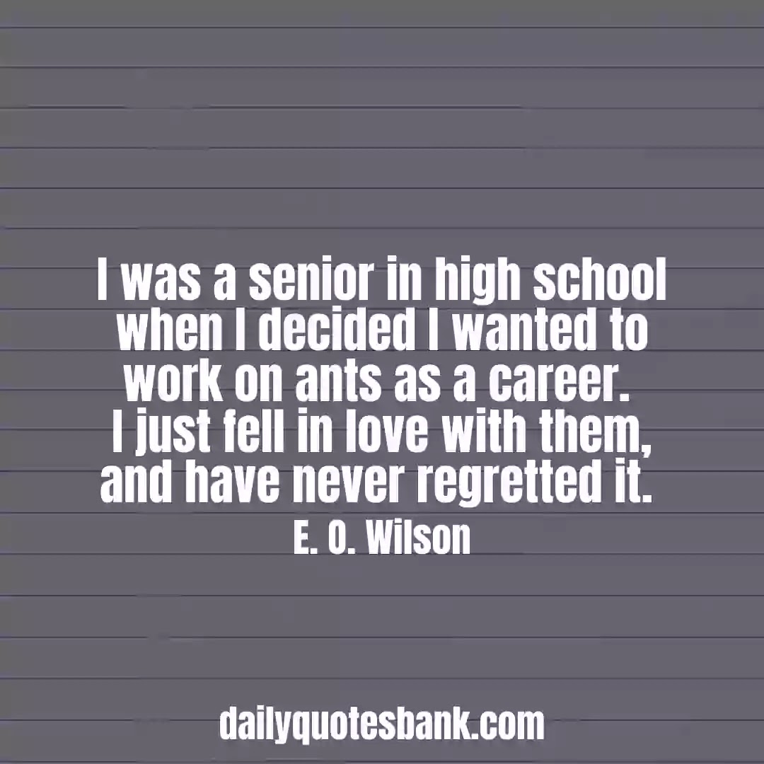 Best High School Senior Quotes For Yearbook
