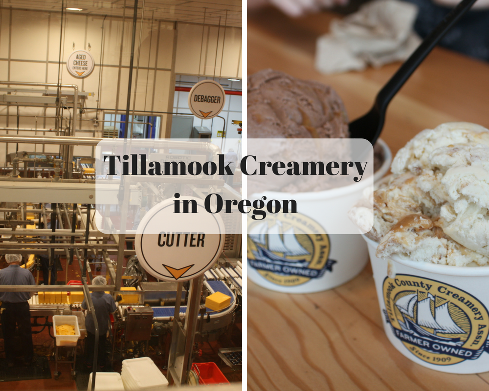 A Little Time and a Keyboard Tillamook Creamery Learning About How