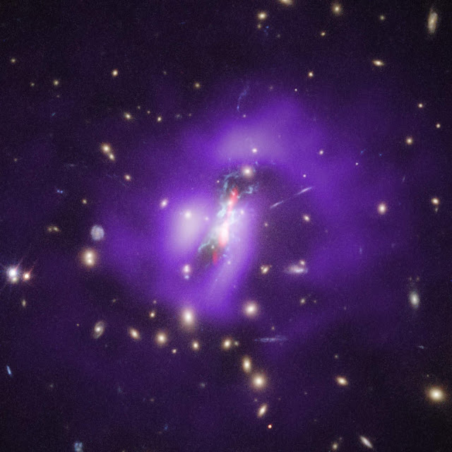 Blowtorch jets from a black hole drive starbirth