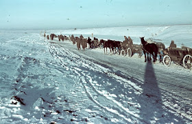 German horses could haul in the depths of winter when motor vehicles without antifreeze had issues worldwartwo.filminspector.com