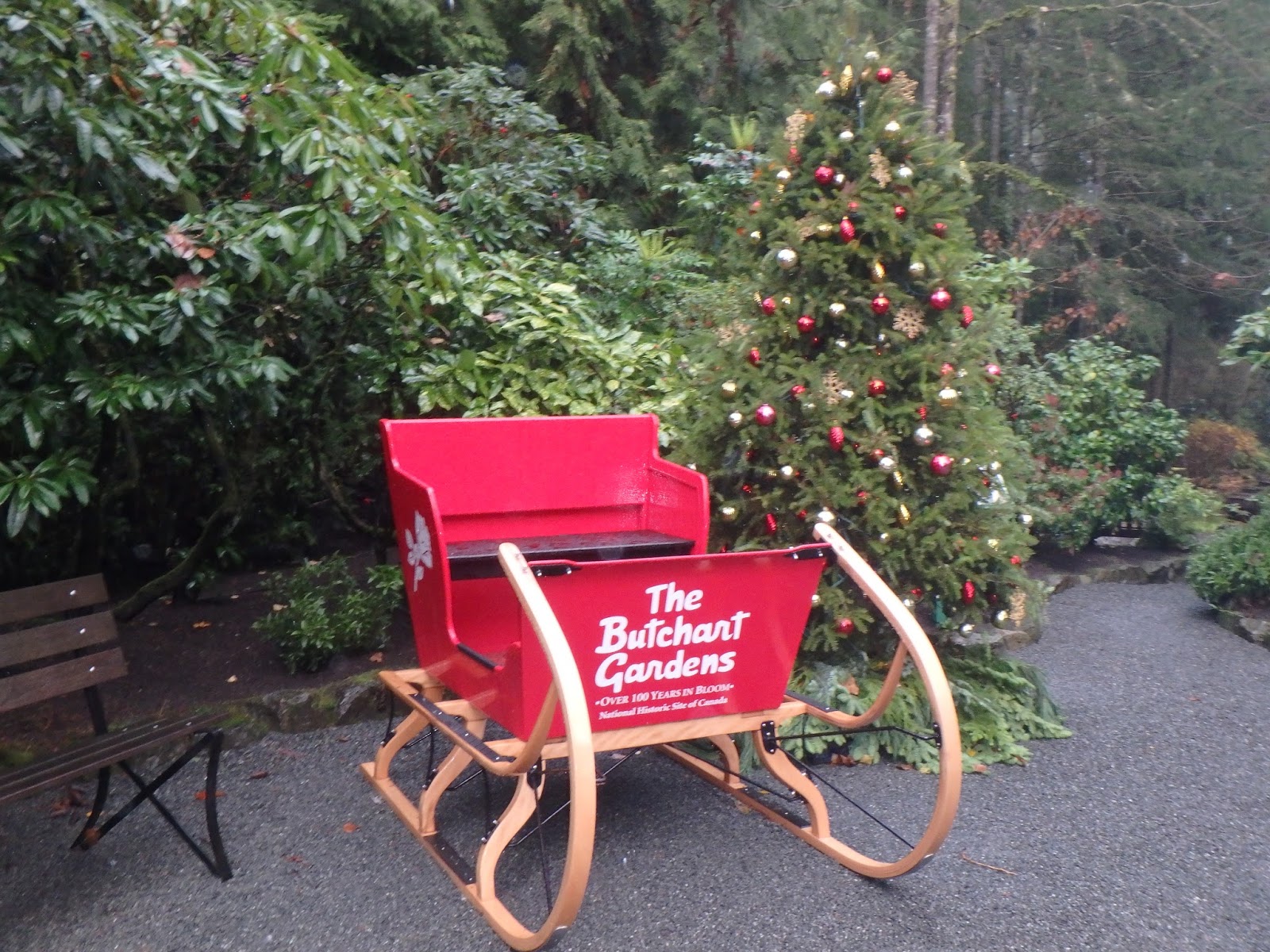 The Magic of Christmas Mother, Daughter Weekend in Sidney BC